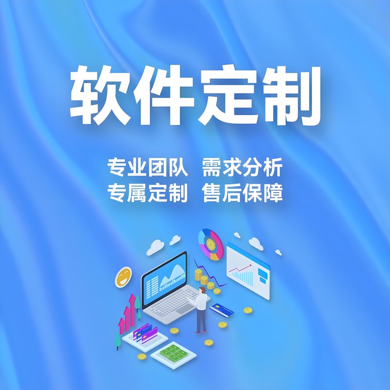 软件定制开发：企业数字化转型的加速器