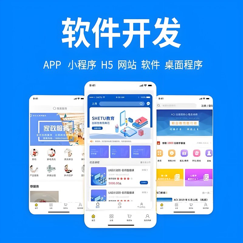 上海软件开发行业的发展脉络