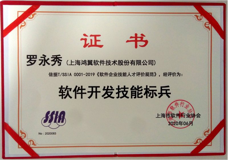 软件定制开发：企业竞争力的新引擎